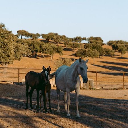 Herdade Da Caniceira Ervedal Zewnętrze zdjęcie
